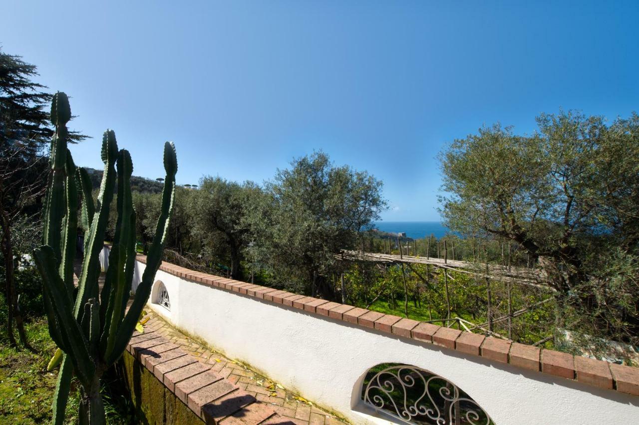 Villa Le Olivine Sorrento Exterior photo