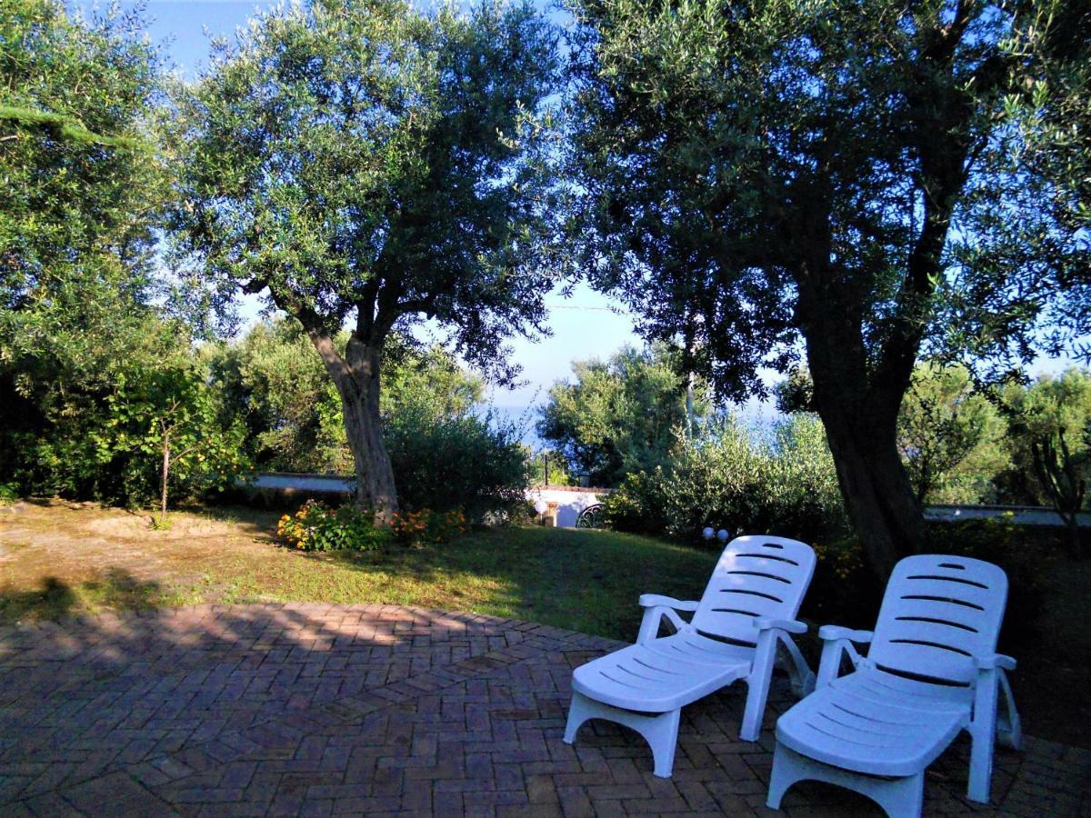 Villa Le Olivine Sorrento Exterior photo